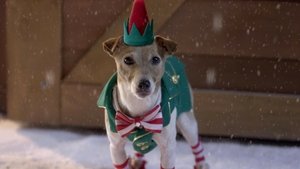 Navidad con los Buddies: En busca de Santa Can