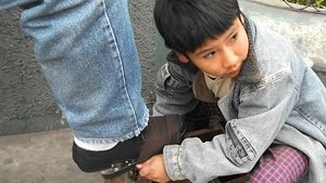 La vida en un día