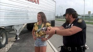 Dos superpolicías en Miami