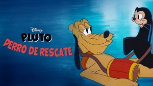 Rescue Dog