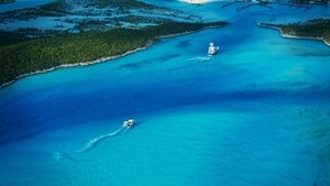 Fyre Fraud