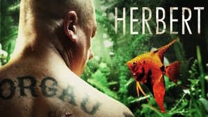 Herbert