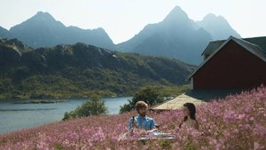 Søvnløs i Lofoten
