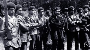 The Black Panthers: Vanguard of the Revolution