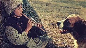 Андриеш