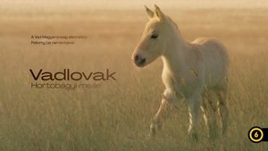 Vadlovak - Hortobágyi mese