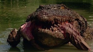 Cocodrilo asesino