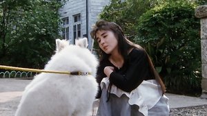 Maison Ikkoku - Apartment Fantasy