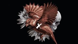 El pájaro pintado