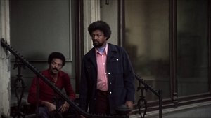 Pólvora negra