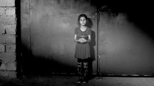 Letters from Shengal