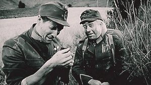 El bravo soldado Schwejk