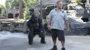 Zookeeper