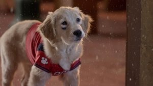 Navidad con los Buddies: En busca de Santa Can