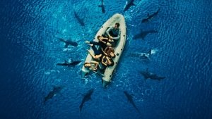 Perdidos entre tiburones