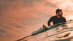 Shark vs. Surfer