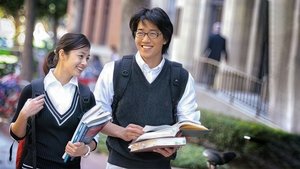 Love Story in Harvard