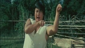El increíble maestro del kung fu