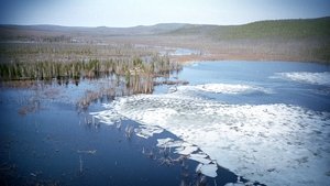 El Big Bang de Tunguska
