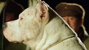 Bombón el perro