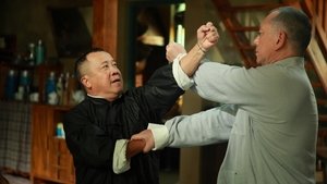 Ip Man: La lucha final