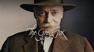 El zorro gris