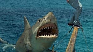 Tiburón 4: La venganza