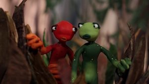 Le chant des grenouilles