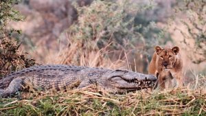 Katavi Africa's Fallen Paradise