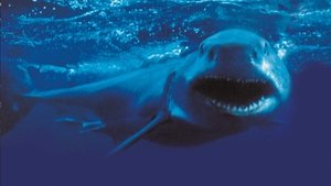Shark. El demonio del mar
