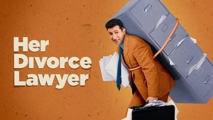 Her Divorce Lawyer