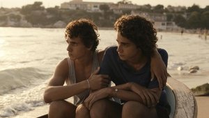 Summer Friends