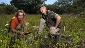 Dual Survival Brazil