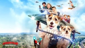 A Doggone Adventure
