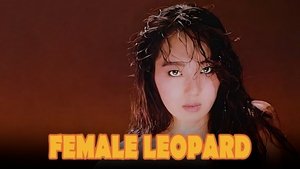 Female Leopard