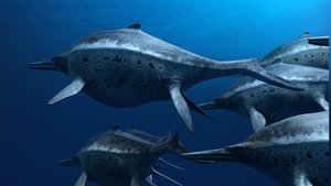 Sea Rex 3D: Journey to a Prehistoric World