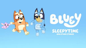 Bluey: Turtleboy (Auslan)