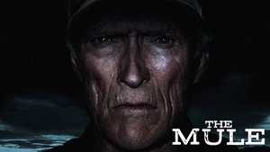 Mula
