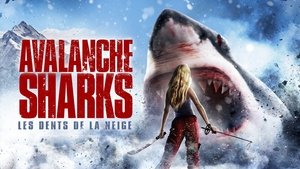 Avalanche Sharks