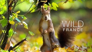 Wild France