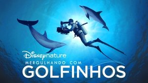 Nadando con delfines