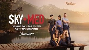 SkyMed