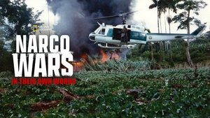Narco Wars: In Their Own Words