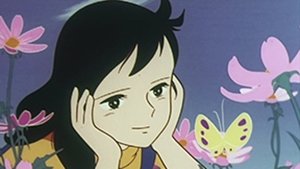 Yuki no Taiyou