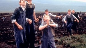 The Butcher Boy (Contracorriente)