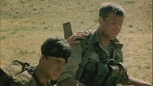 Afghan Breakdown