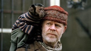 The Wool Cap