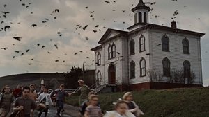 Los pájaros