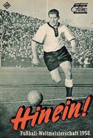 Hinein