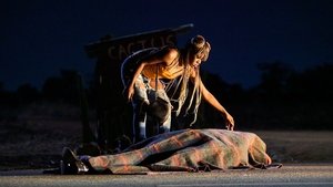 On Becoming a Guinea Fowl